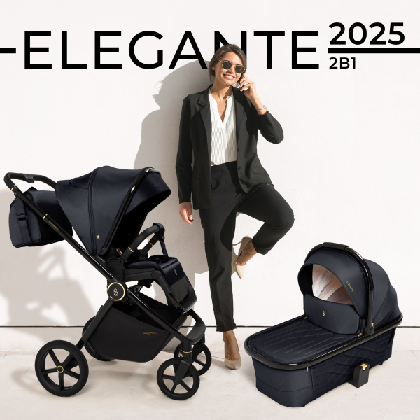 Коляска 2в1 SBL Elegante GL (427282 GL Black)