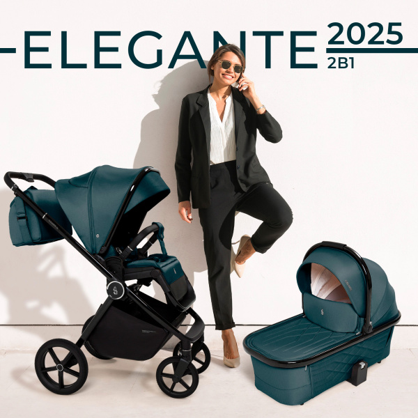Коляска 2в1 SBL Elegante GL (427284 GL Blue)